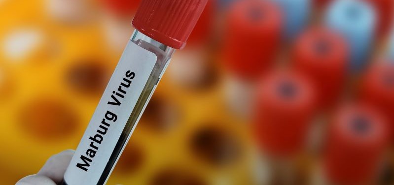 EPA Triggers Emerging Viral Pathogens Policy for Marburg Virus
