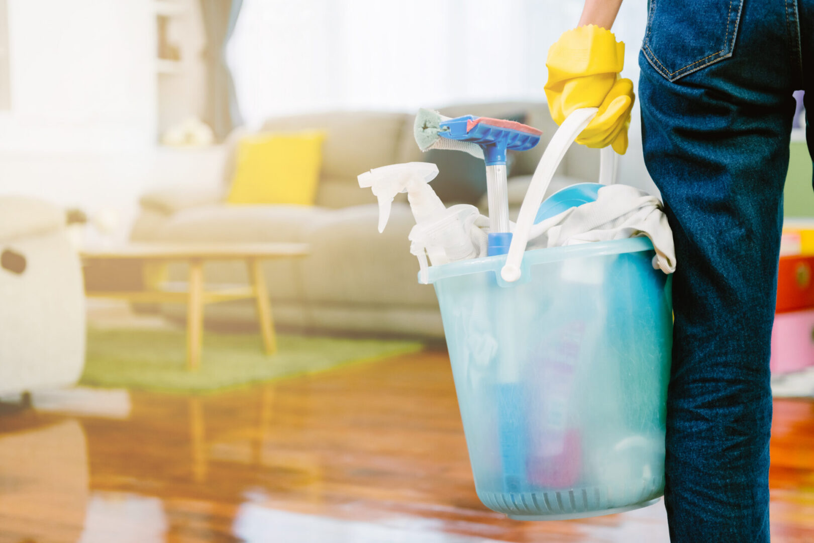 cleaning products, sprays, disinfectants, squeegee