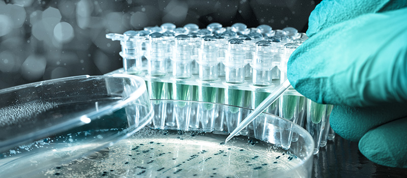 810 Guidelines FAQ Document (8-28-19) Summary
